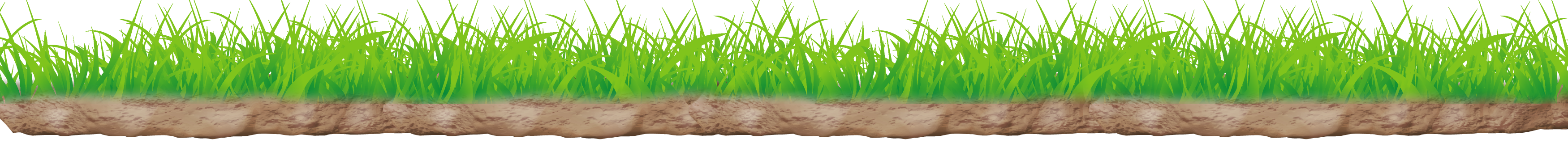 grass